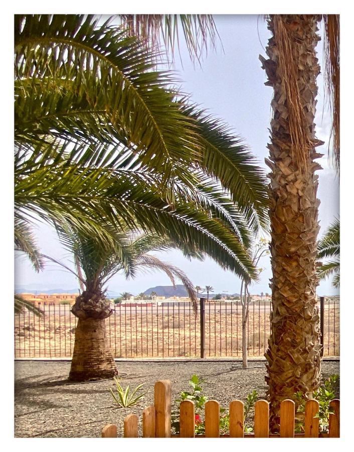 Tamarindo Pura Vida - Relax Y Vistas Al Mar Lejlighed Corralejo Eksteriør billede