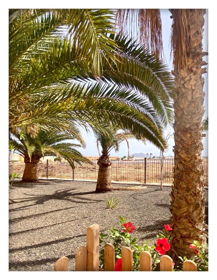 Tamarindo Pura Vida - Relax Y Vistas Al Mar Lejlighed Corralejo Eksteriør billede