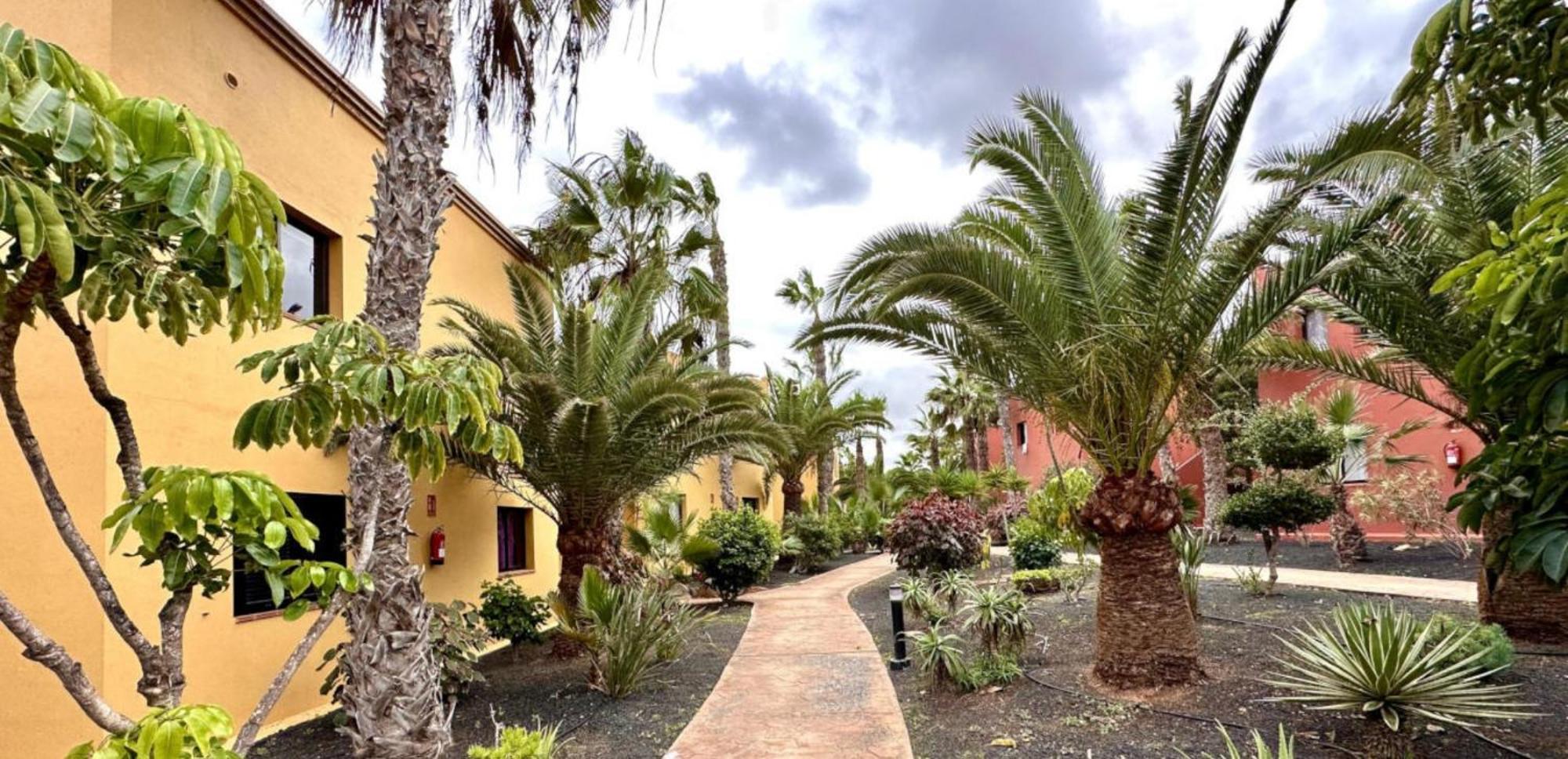 Tamarindo Pura Vida - Relax Y Vistas Al Mar Lejlighed Corralejo Eksteriør billede